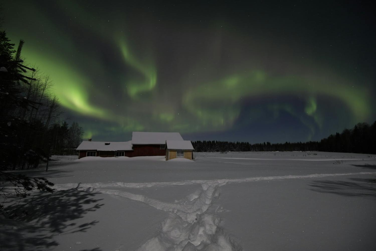 Blinkskudd av nordlys nordlys over snø